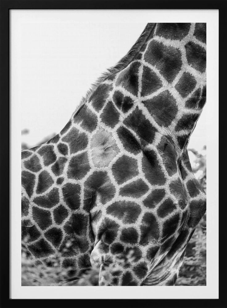 Ingewikkelde patronen van een giraffenhuid | Poster