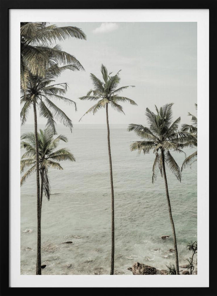 Tropische Dromen | Poster