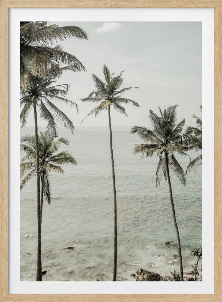 Tropical Dreams | Poster