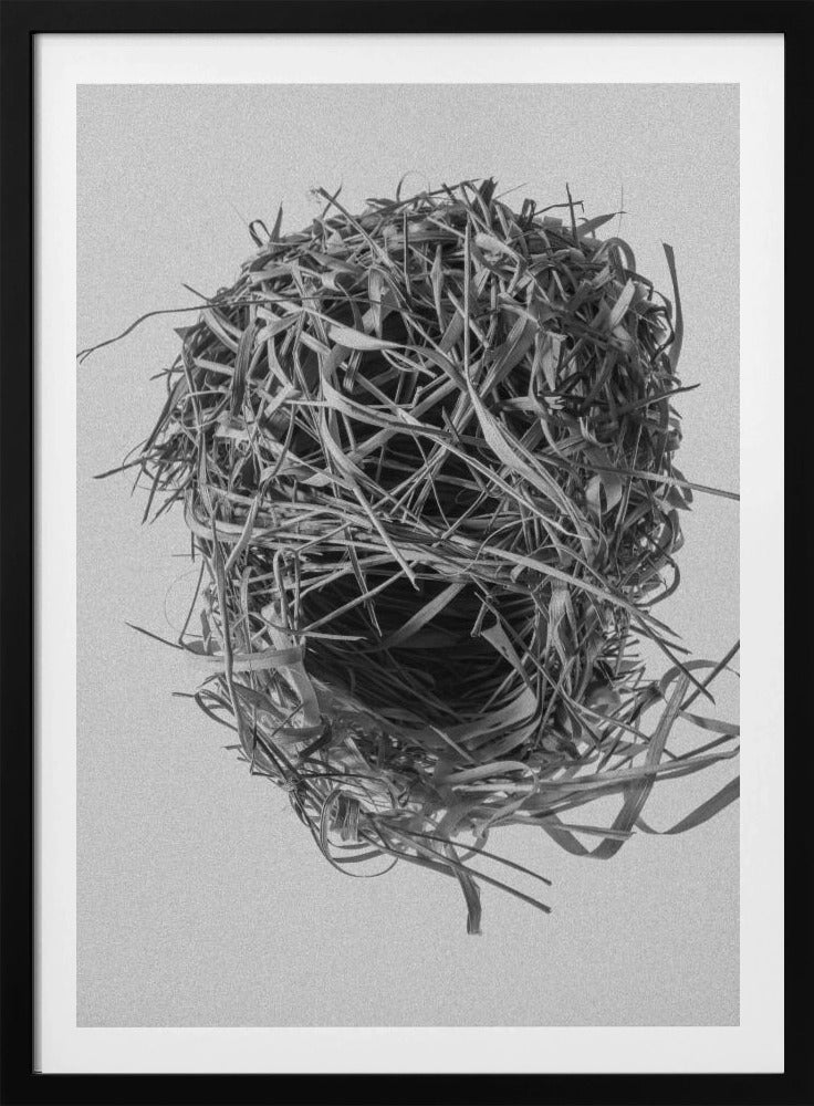 Weversnest | Poster