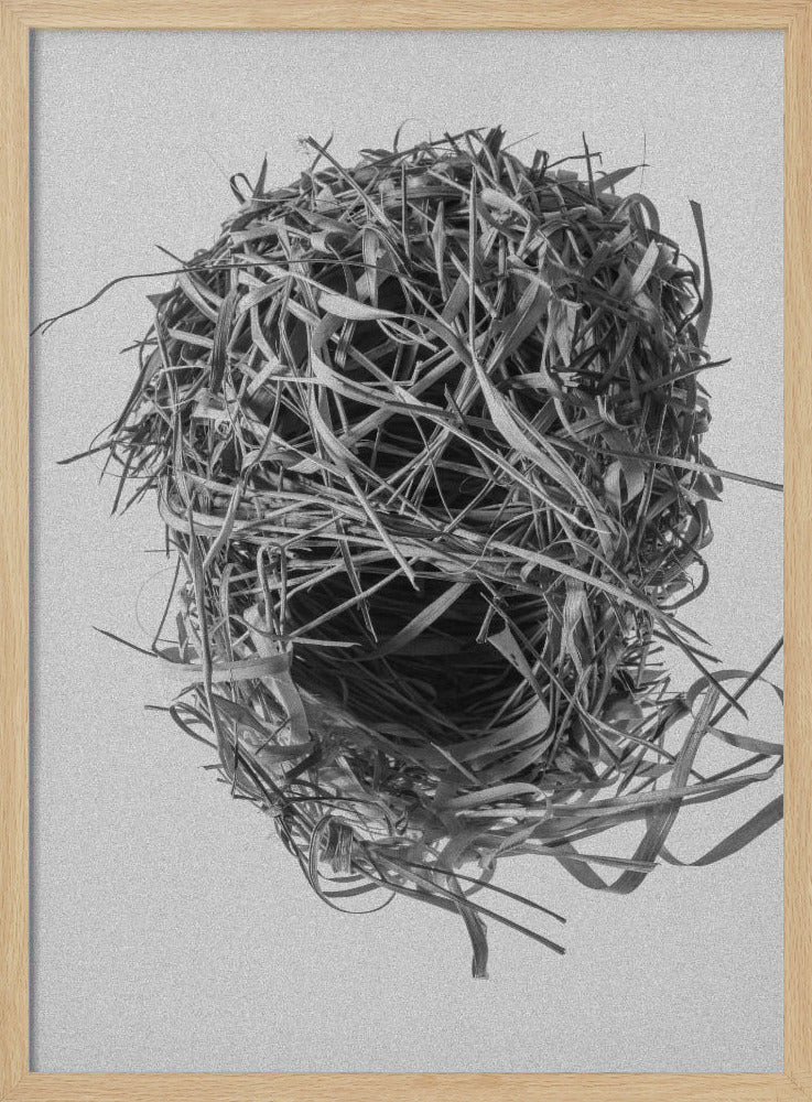 Weversnest | Poster