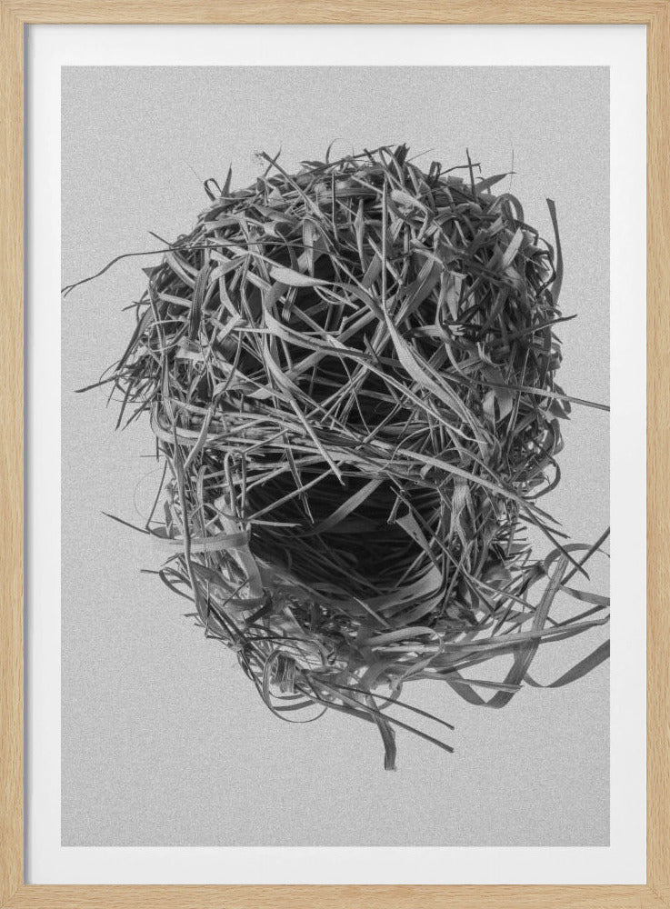 Weversnest | Poster