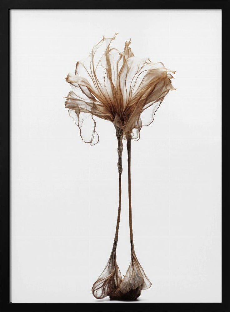 Delicate grilligheid | Poster