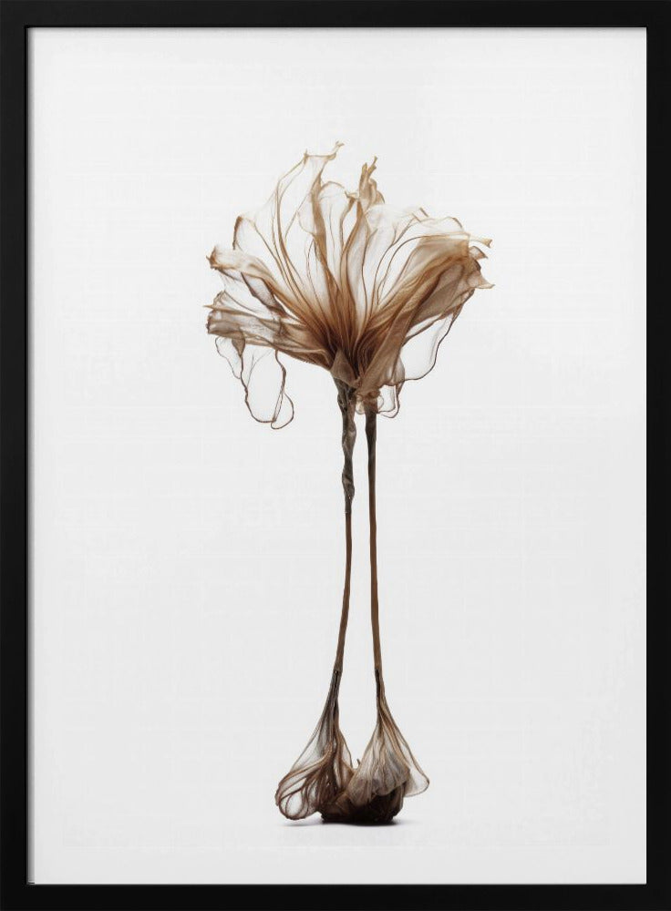 Delicate grilligheid | Poster