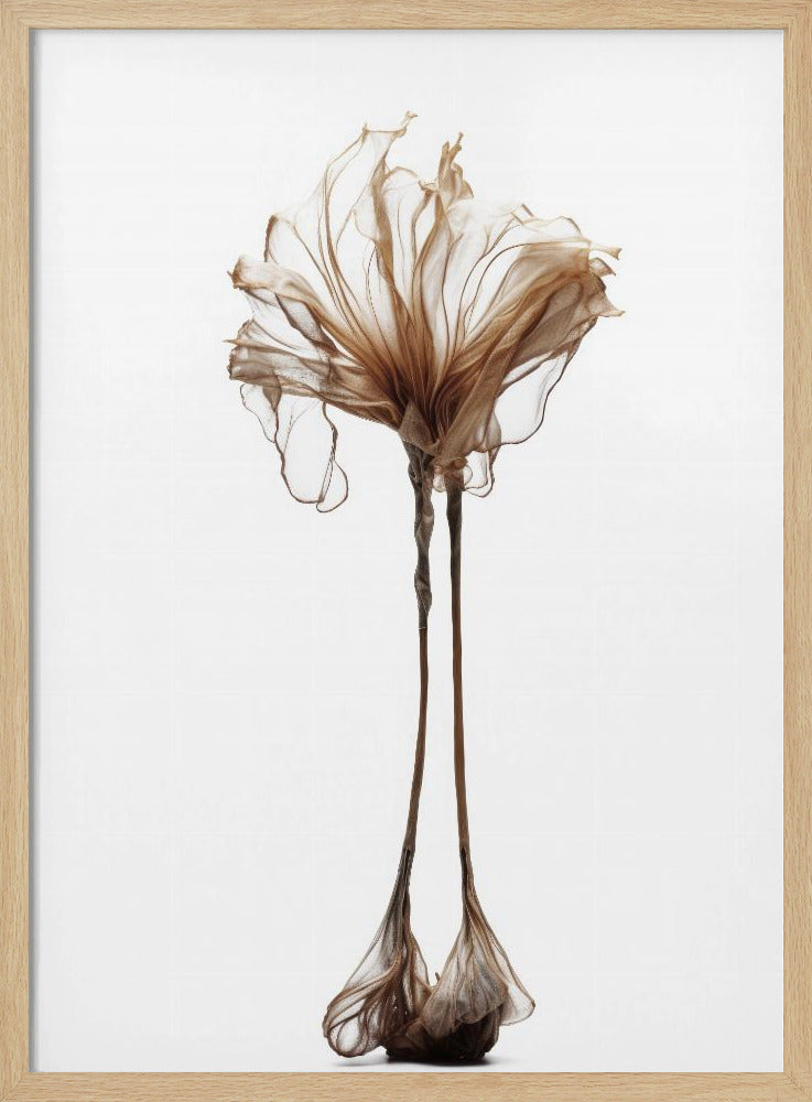 Delicate grilligheid | Poster