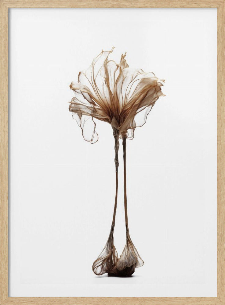 Delicate grilligheid | Poster