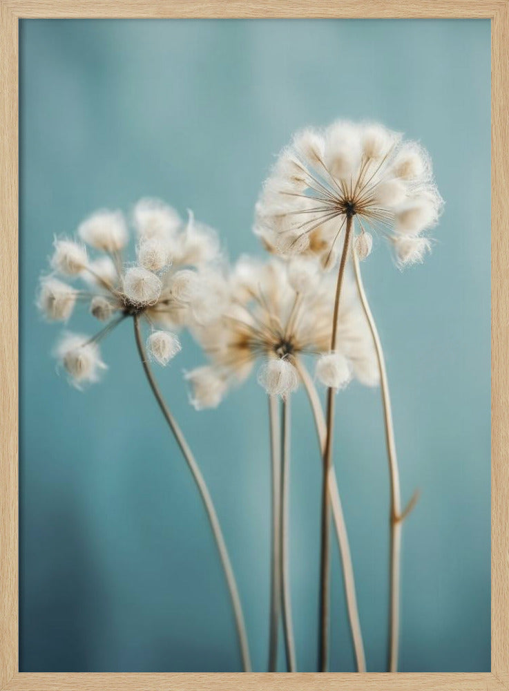 Puffs in the Breeze | Poster