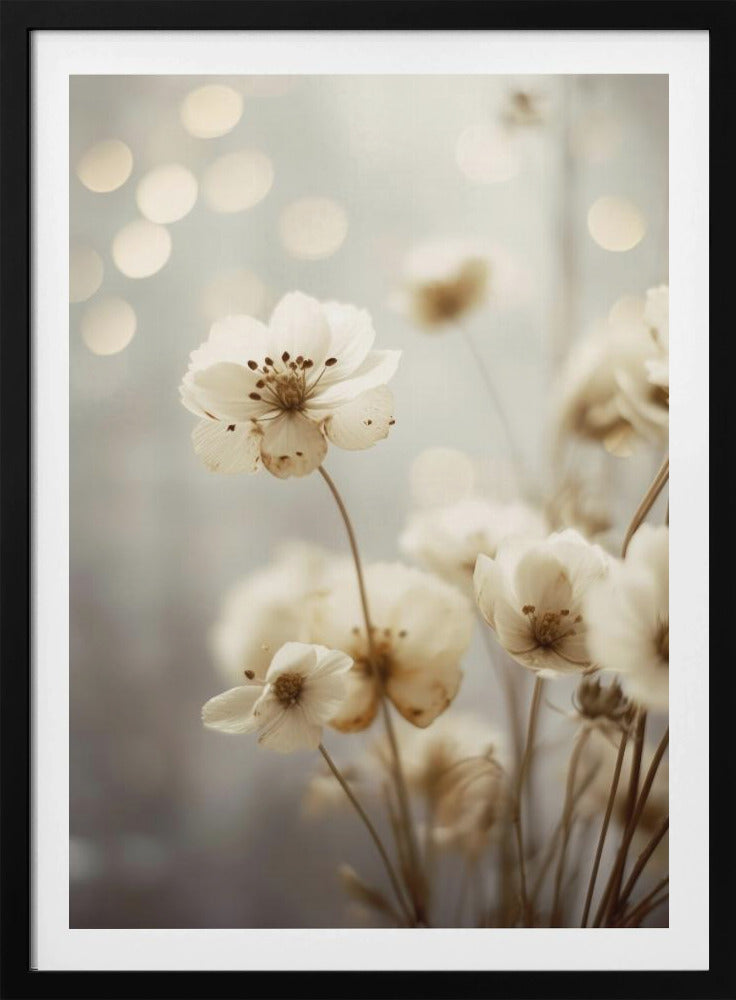 Bloemblaadjes in zacht licht | Poster