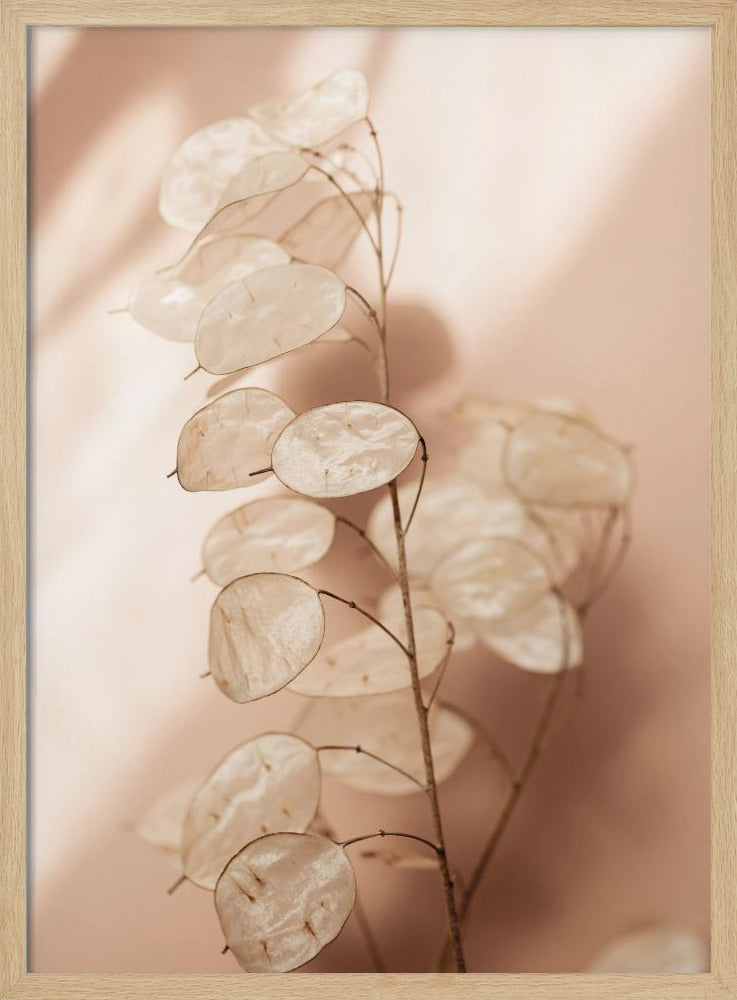 Last Summer 12 | Poster