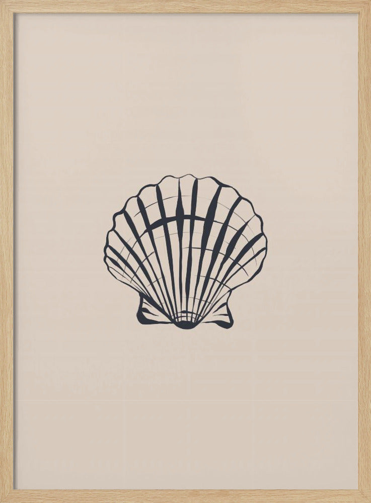 Seashell | Poster