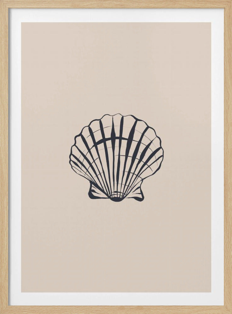 Seashell | Poster