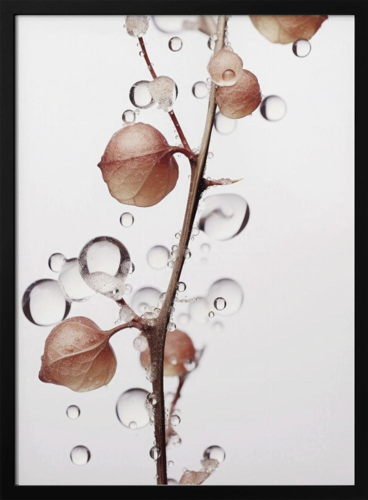 Bubbels en bloemen | Poster