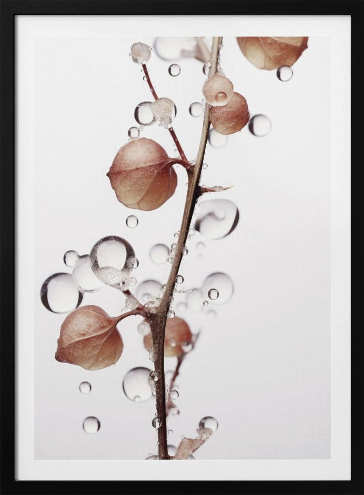 Bubbels en bloemen | Poster