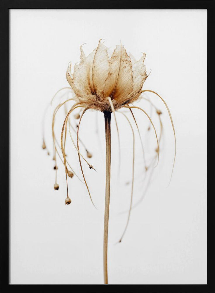 Ethereal Bloom | Poster