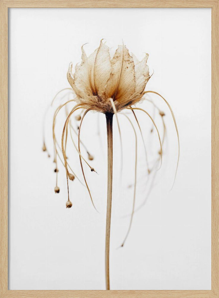 Ethereal Bloom | Poster