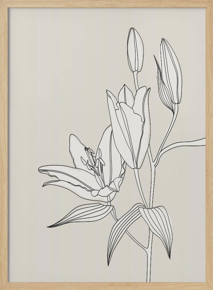 Lijnkunstlelies in beige | Poster