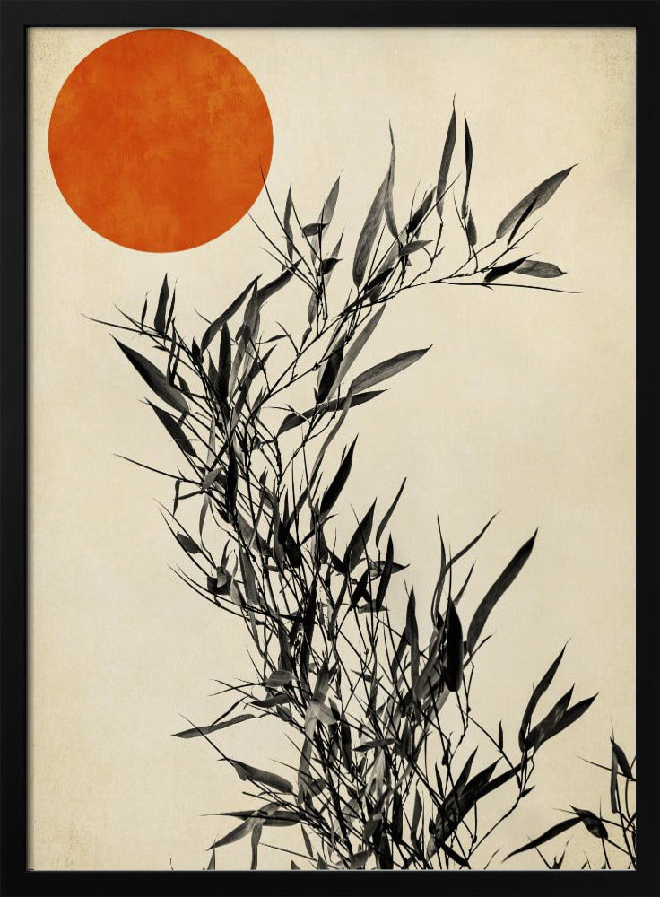 Japanese Birch | Poster