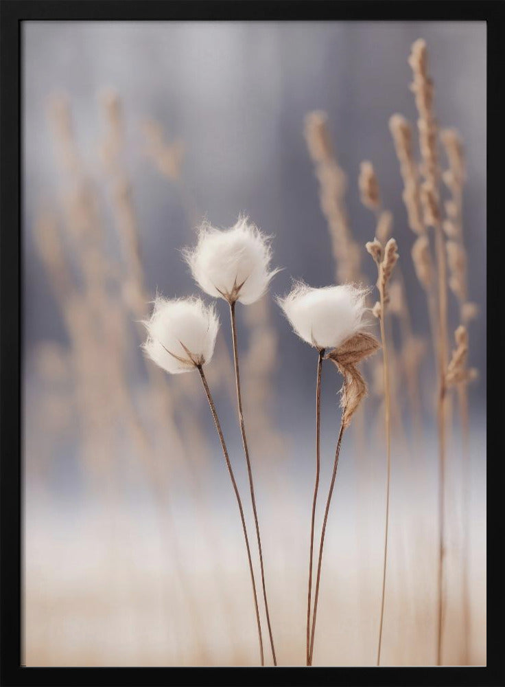 Winter Whispers | Poster