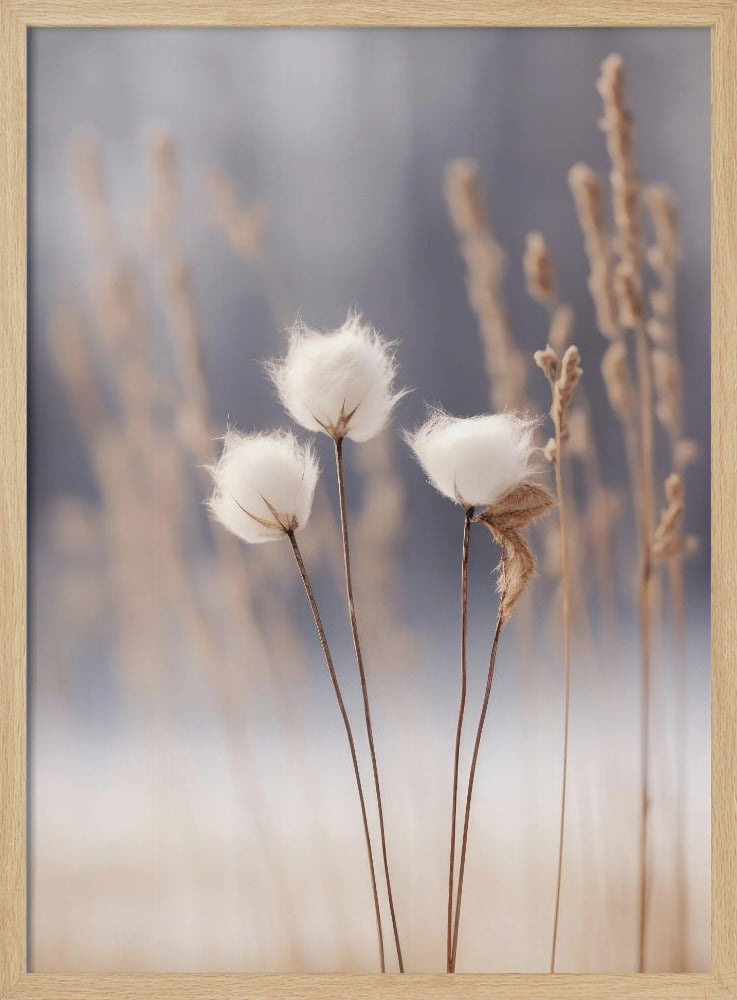 Winter Whispers | Poster