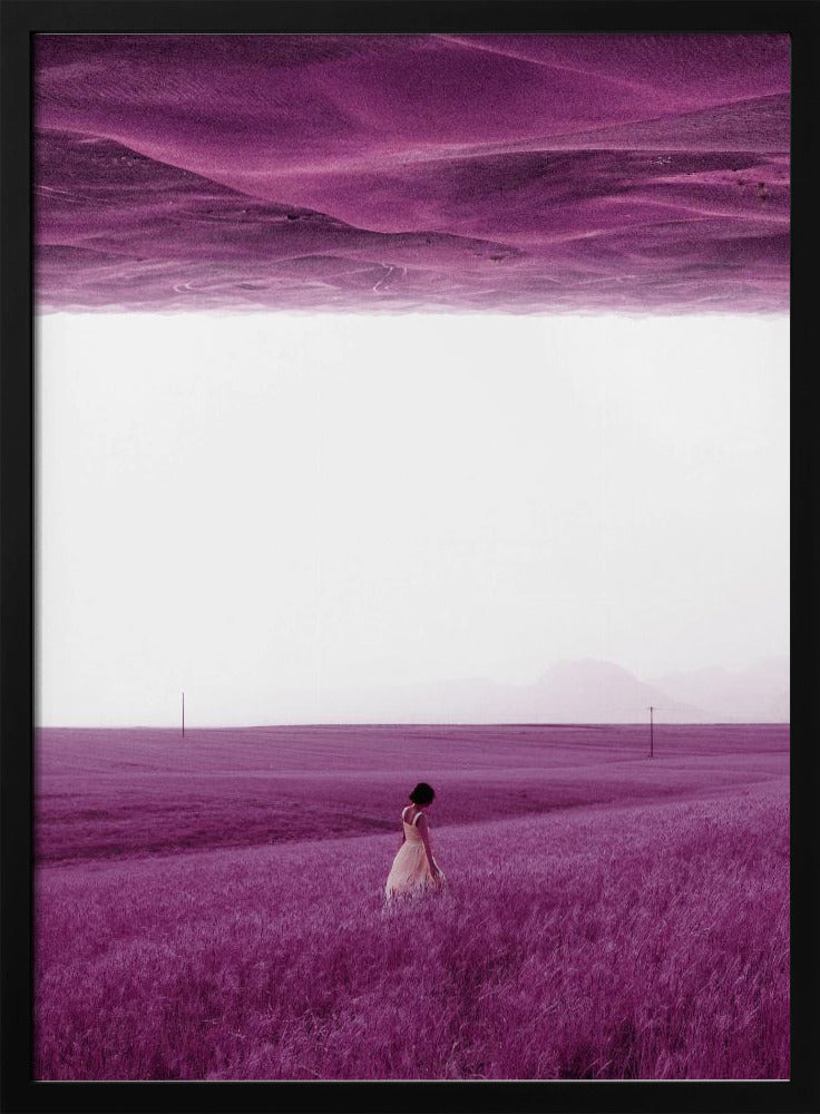 Paarse velden | Poster