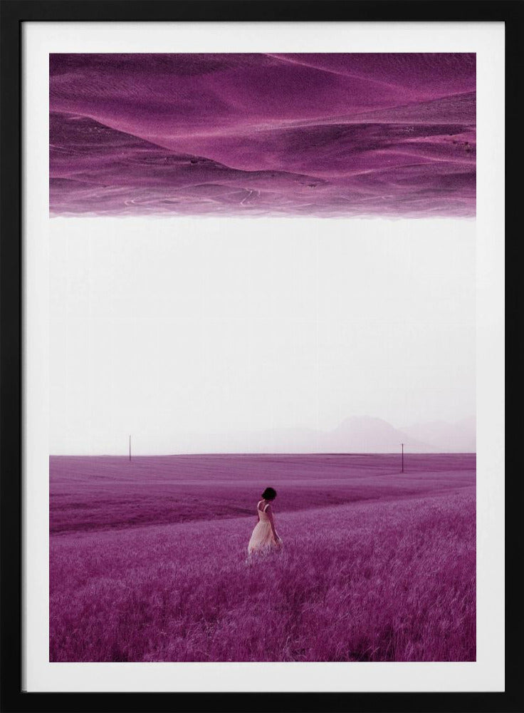 Paarse velden | Poster
