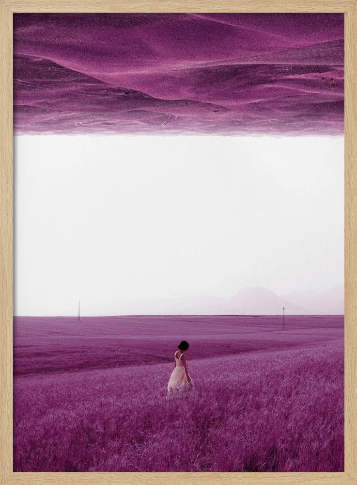 Paarse velden | Poster