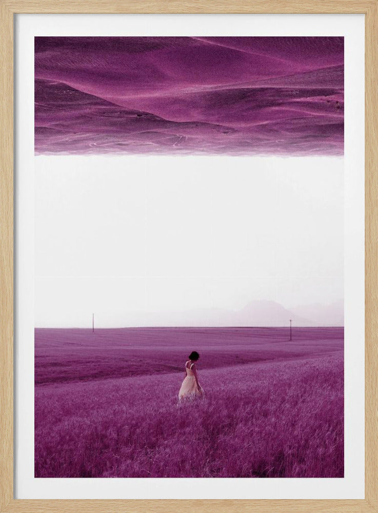 Paarse velden | Poster
