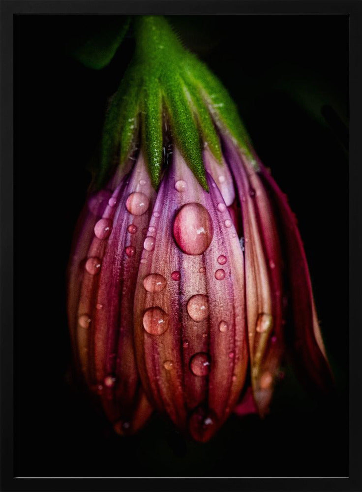 Na de regen | Poster