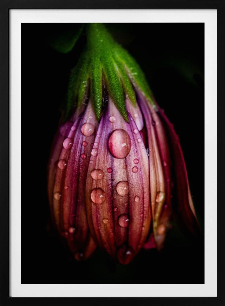 Na de regen | Poster