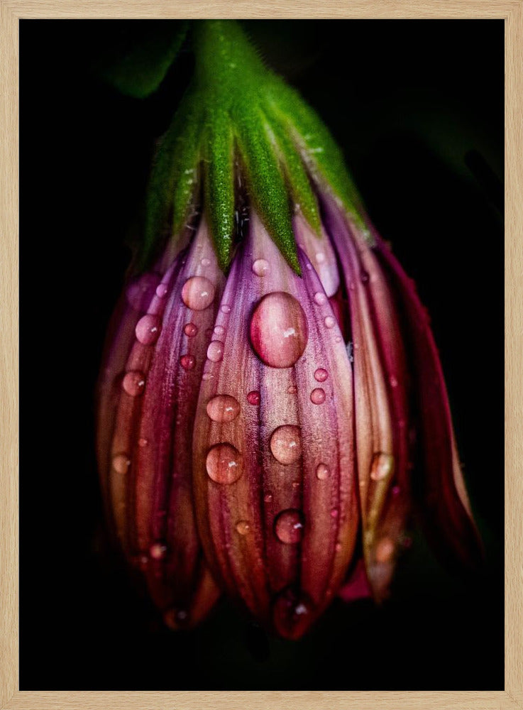Na de regen | Poster
