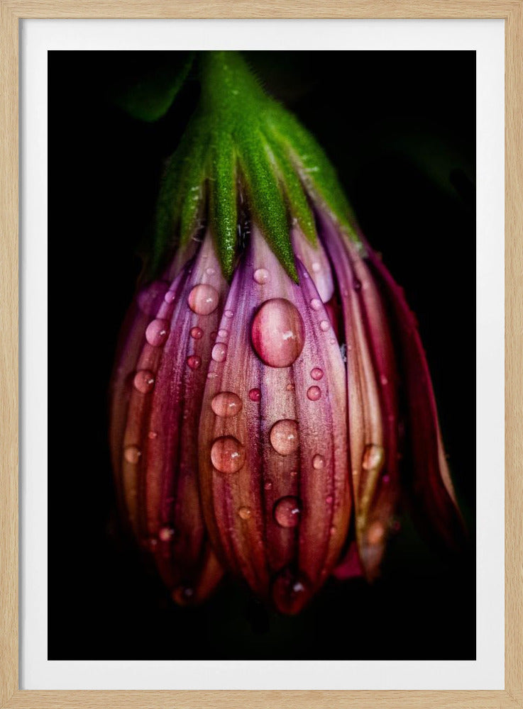 Na de regen | Poster