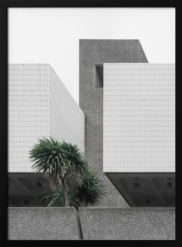 Eenzame Palmen | Poster
