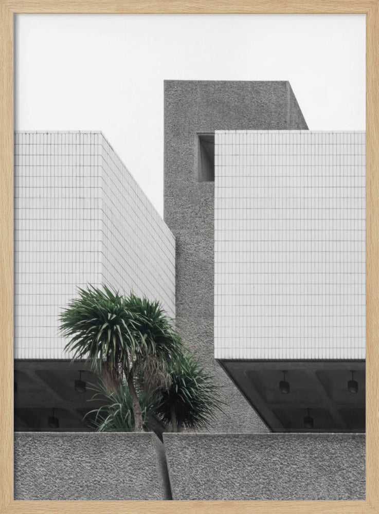 Eenzame Palmen | Poster