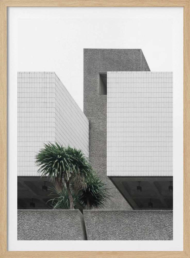 Eenzame Palmen | Poster