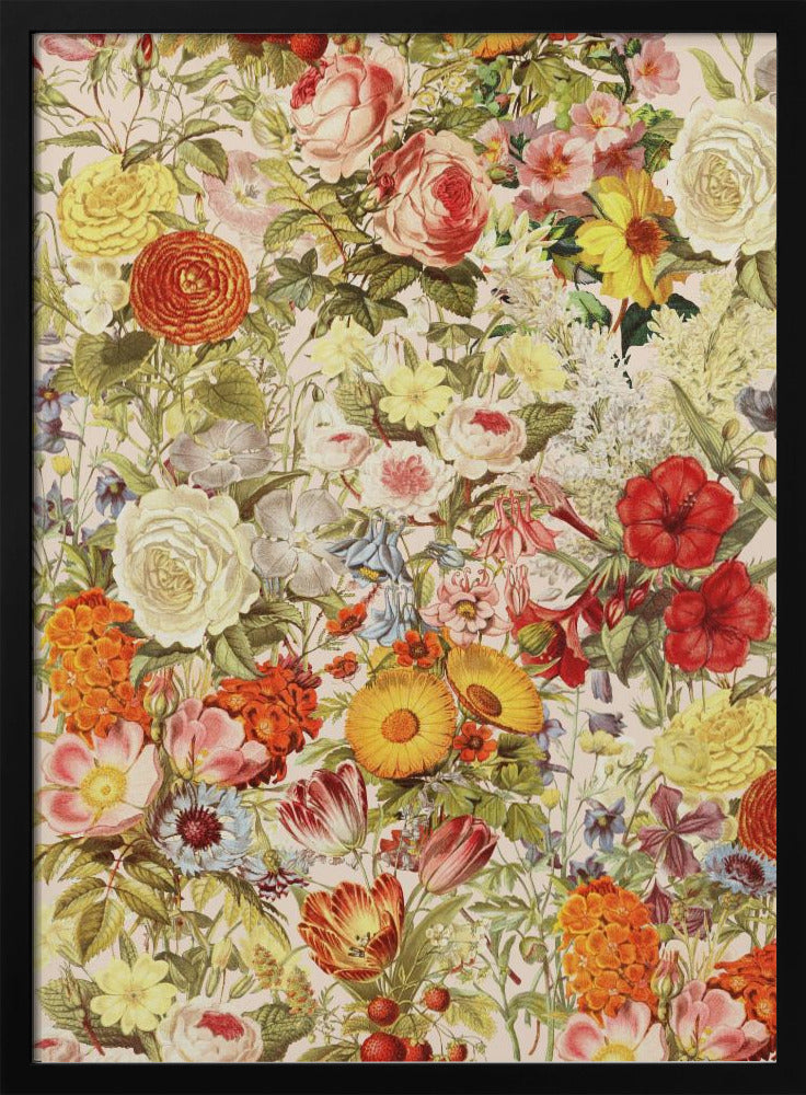 Botany | Poster