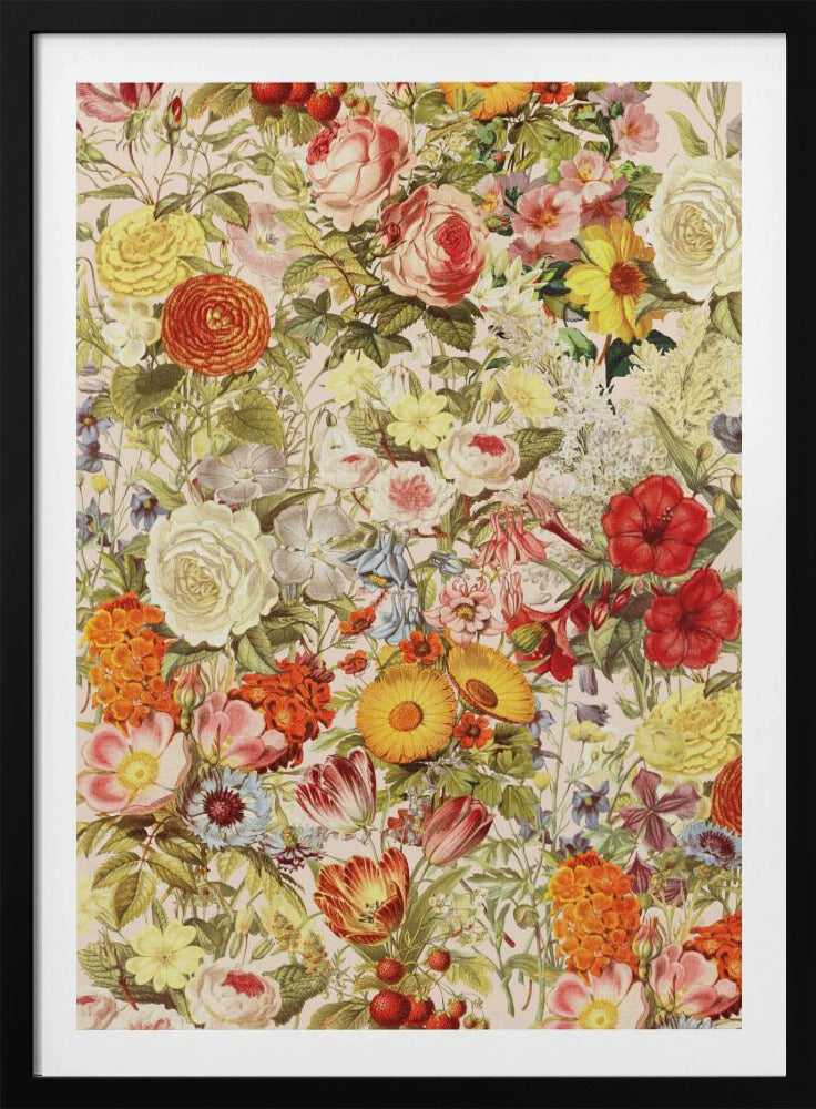 Botany | Poster