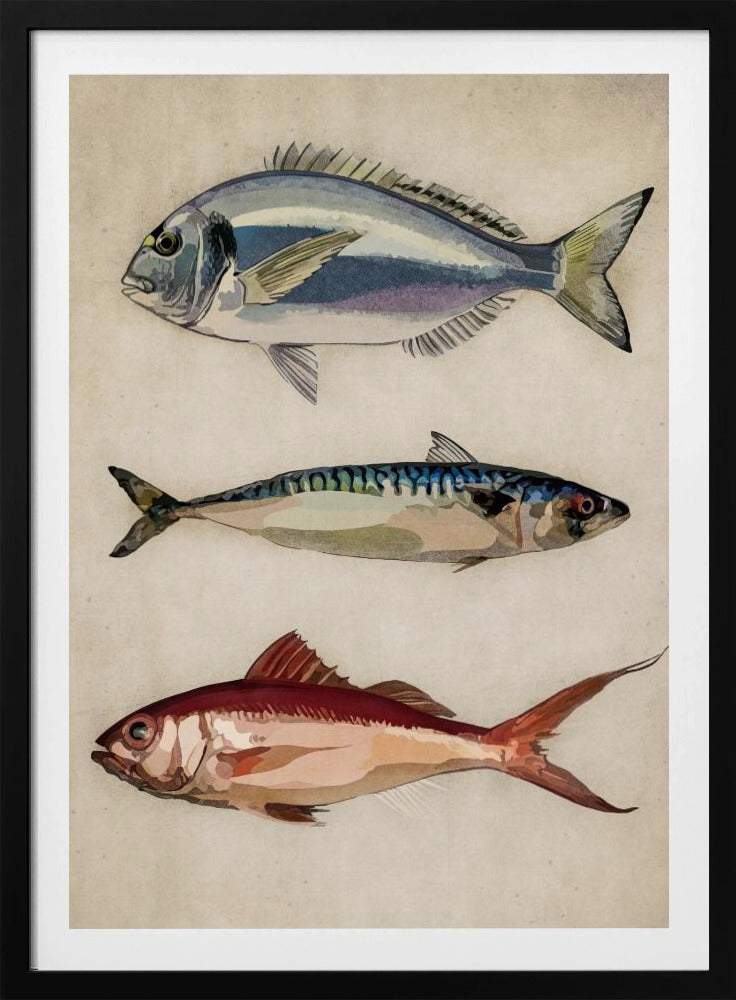 Trio van oceaanleven | Poster