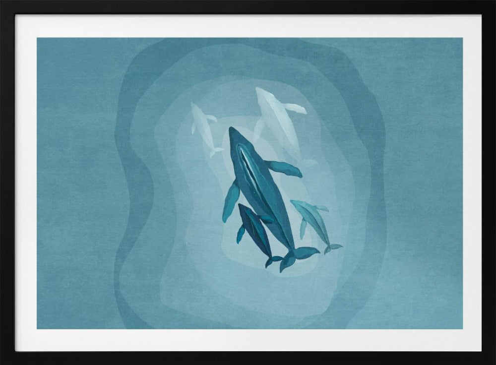 Gentle Giants zwemmen | Poster