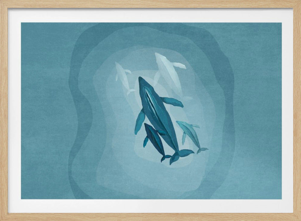 Gentle Giants zwemmen | Poster