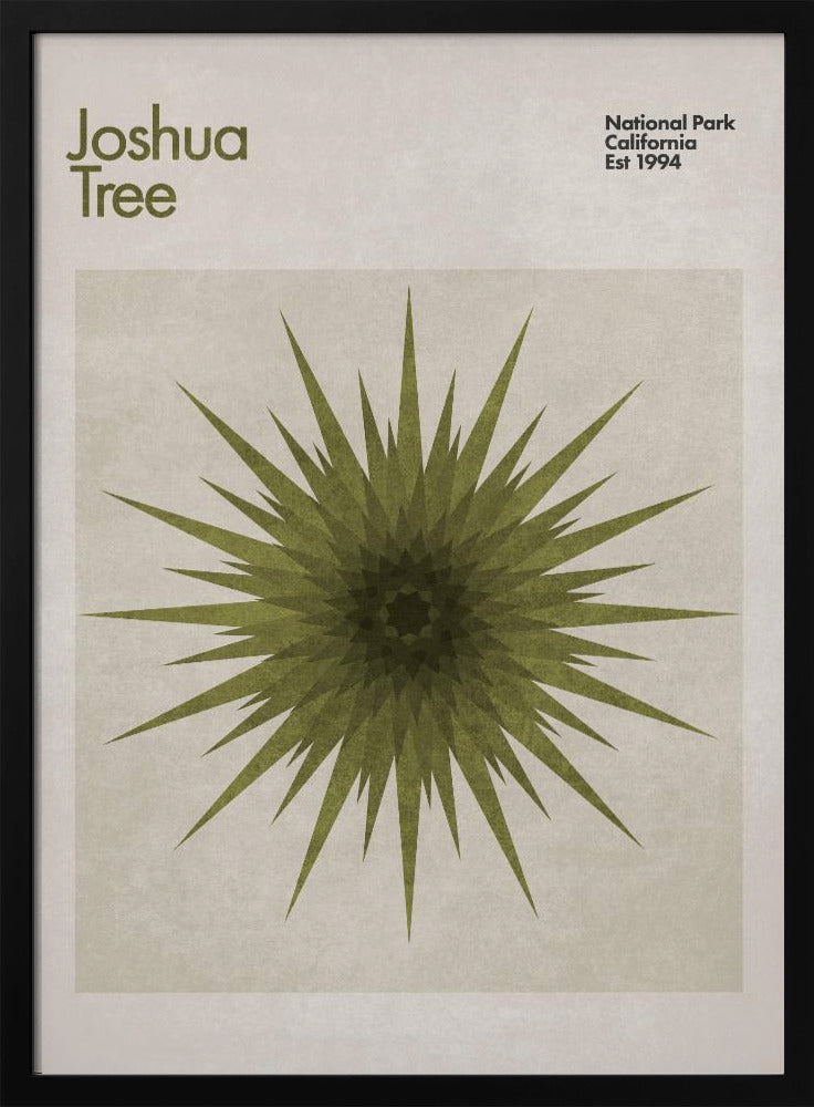 Stervormige flora | Poster