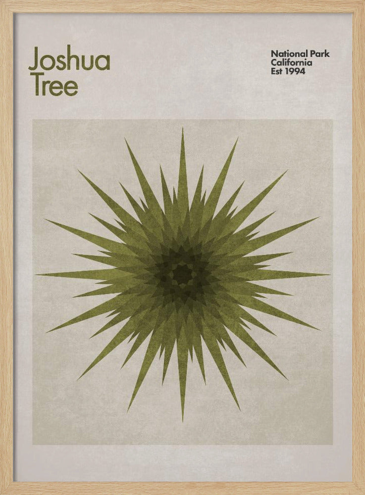 Stervormige flora | Poster