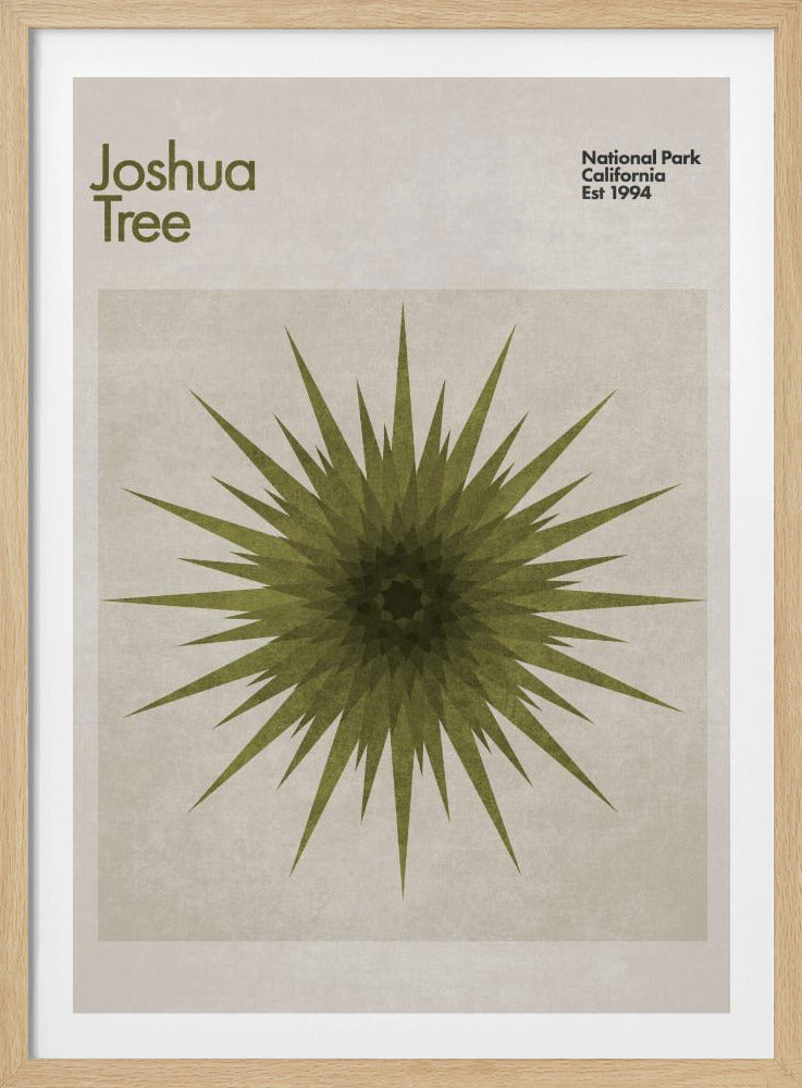 Stervormige flora | Poster