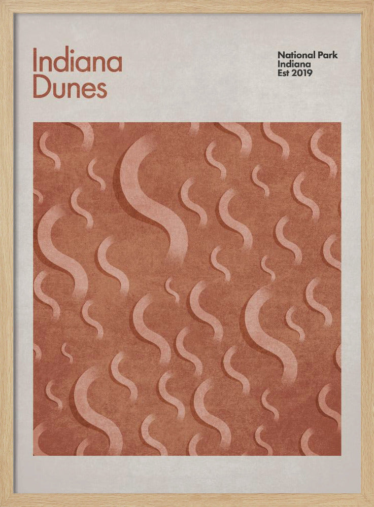Curves of the Dunes | Poster