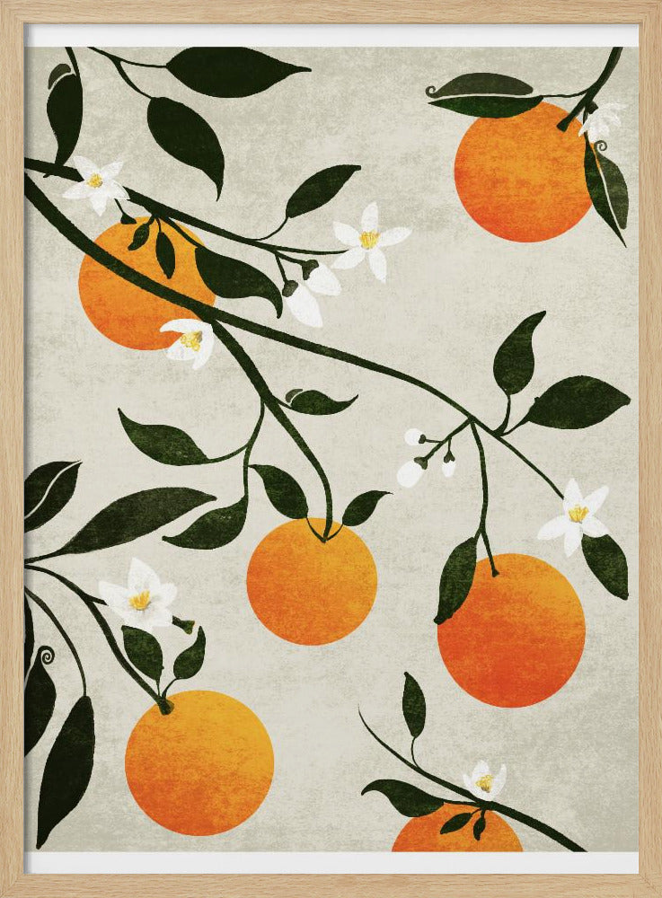 Sinaasappels in bloei | Poster