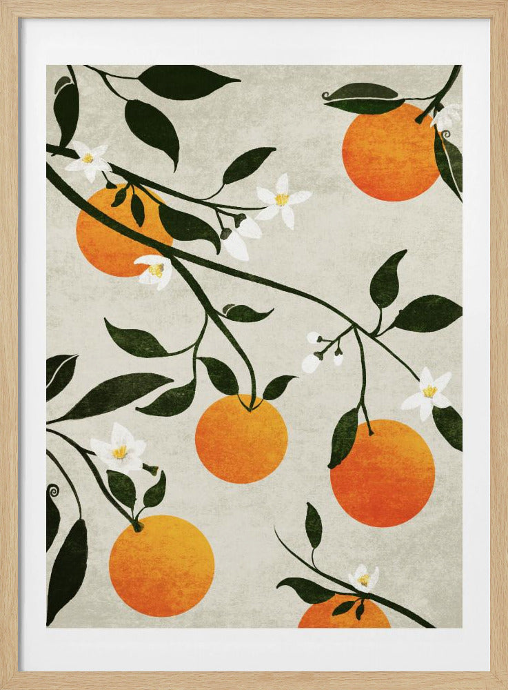 Sinaasappels in bloei | Poster
