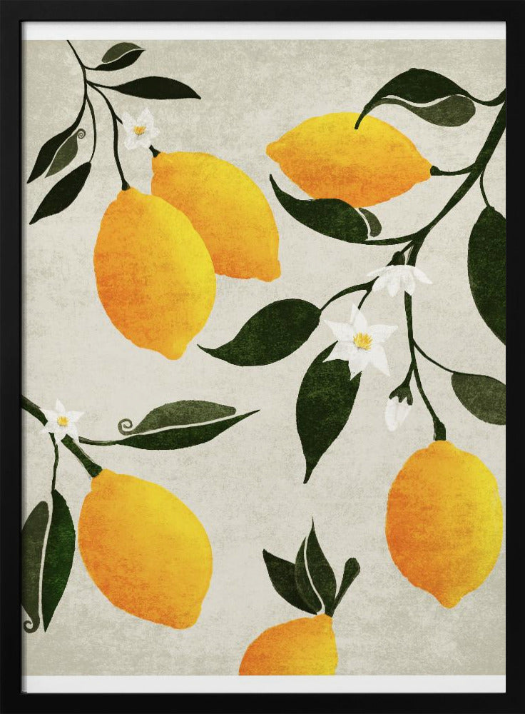 Citrus Symfonie | Poster