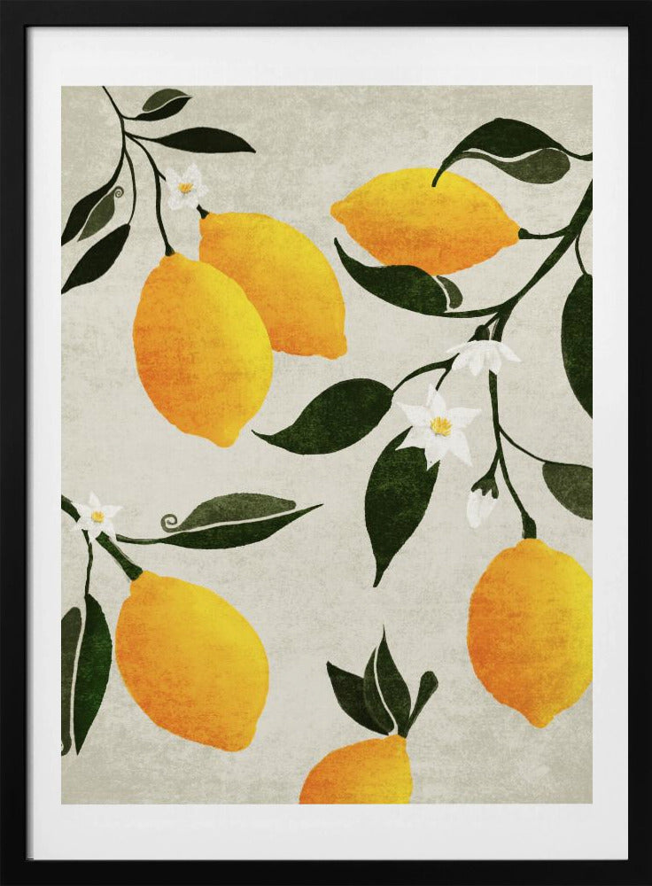 Citrus Symfonie | Poster