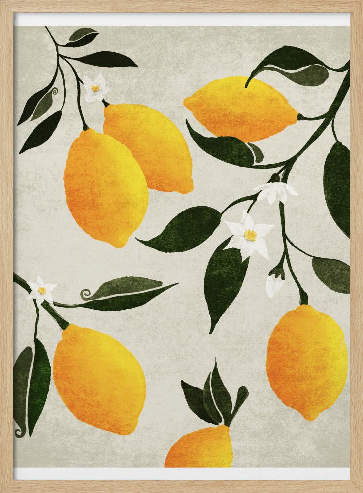 Citrus Symfonie | Poster