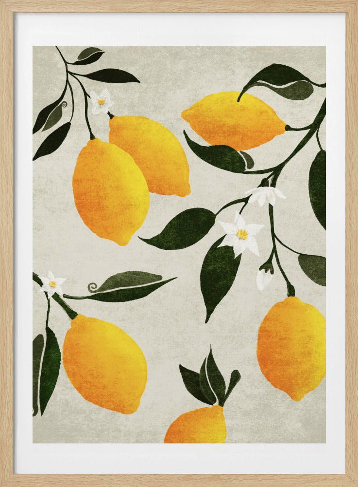 Citrus Symfonie | Poster
