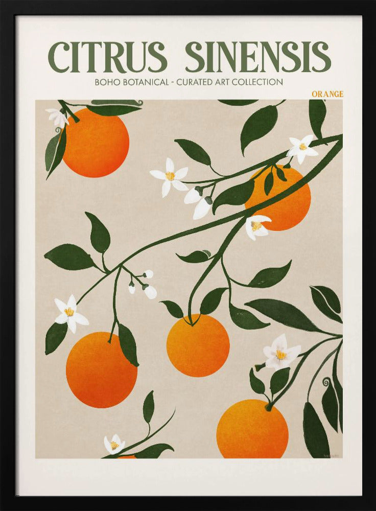 Oranje Elegantie | Poster